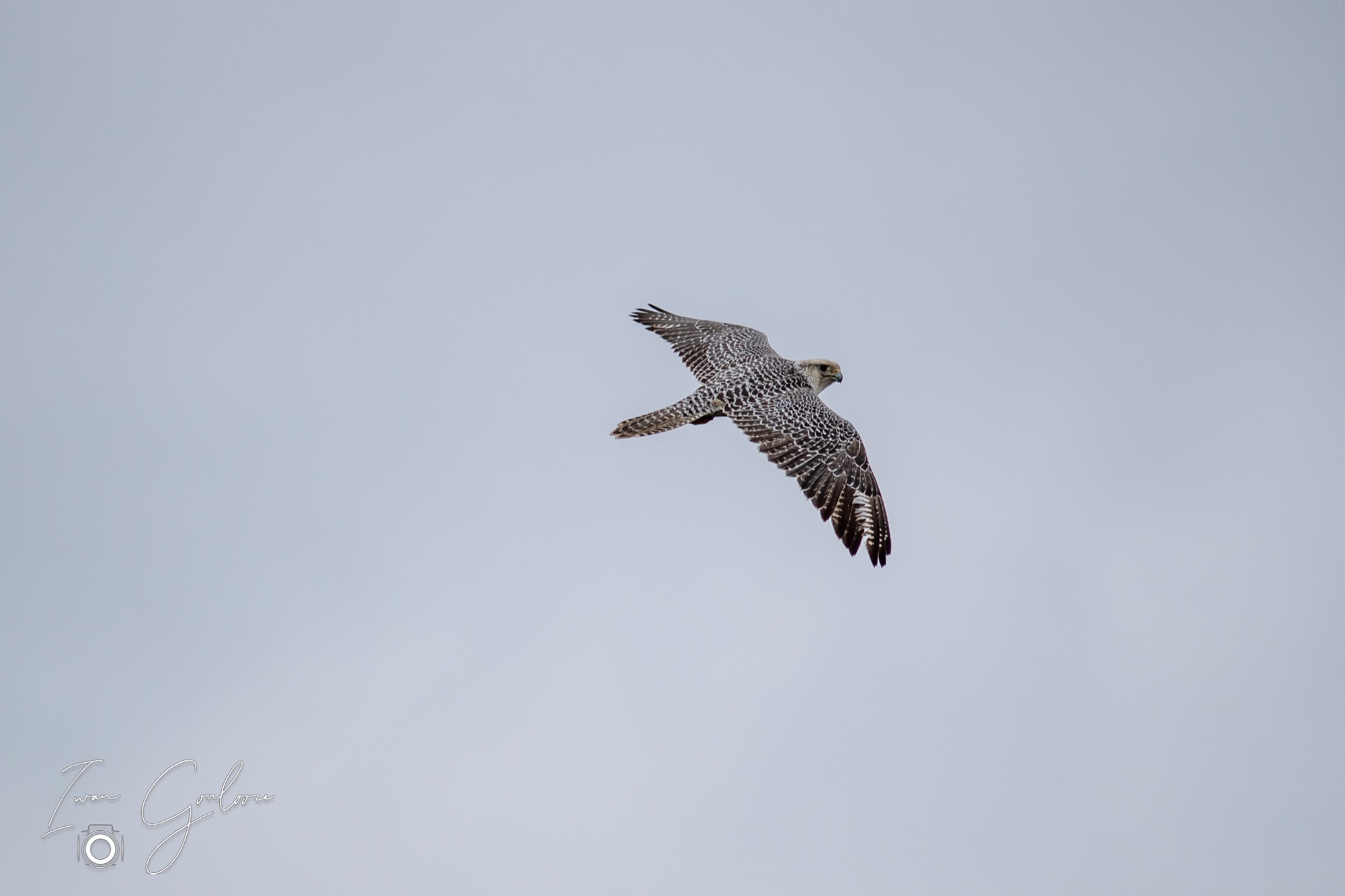 01 april 2022 114435 1DX47120